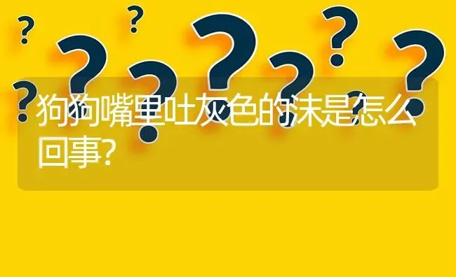 狗狗嘴里吐灰色的沫是怎么回事？ | 动物养殖问答