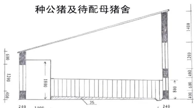 100头母猪养猪场设计图