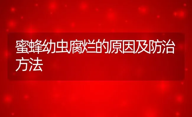 蜜蜂幼虫腐烂的原因及防治方法 | 动物养殖教程