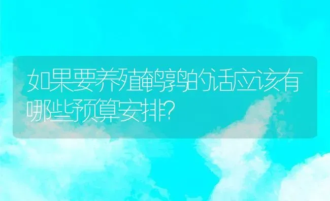 如果要养殖鹌鹑的话应该有哪些预算安排？ | 动物养殖百科