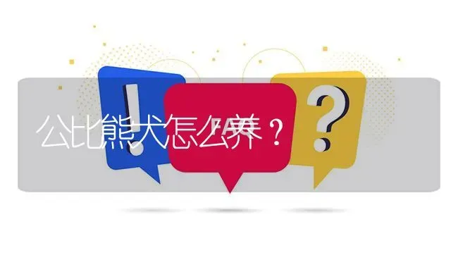 公泰迪好养还是公比熊好养？ | 动物养殖问答