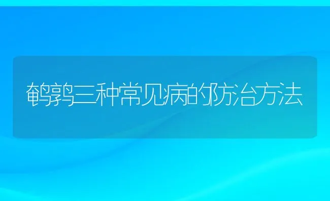 鹌鹑三种常见病的防治方法 | 动物养殖学堂