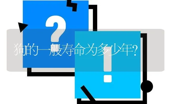 狗的一般寿命为多少年？ | 动物养殖问答