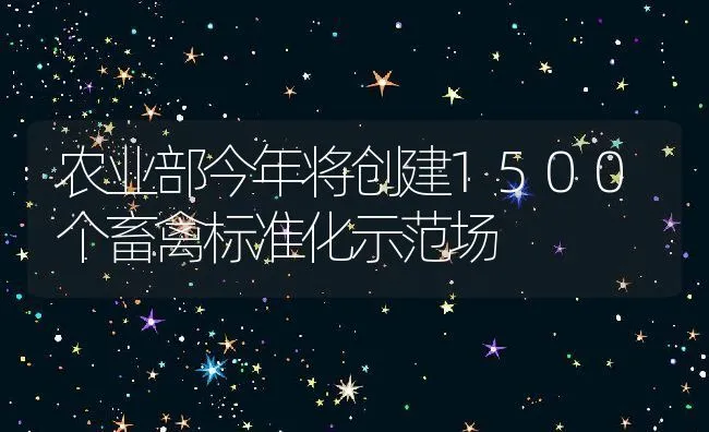 农业部今年将创建1500个畜禽标准化示范场 | 动物养殖饲料