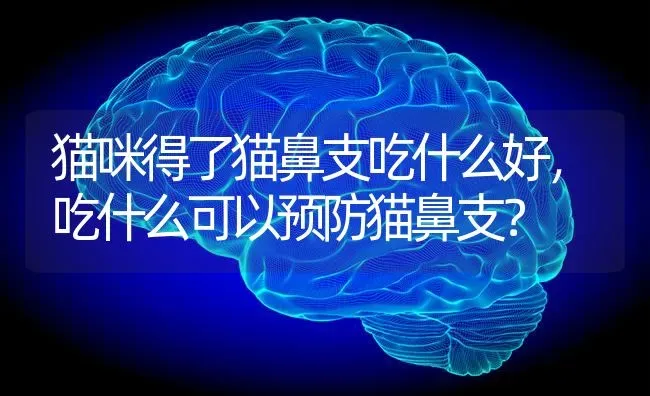 猫咪得了猫鼻支吃什么好，吃什么可以预防猫鼻支？ | 动物养殖问答