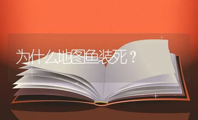 为什么地图鱼装死？ | 鱼类宠物饲养