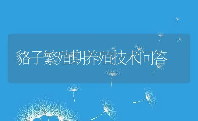 貉子繁殖期养殖技术问答 | 动物养殖学堂