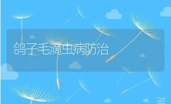 鸽子毛滴虫病防治 | 水产养殖知识