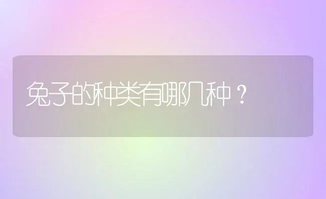 兔子的种类有哪几种？ | 动物养殖问答