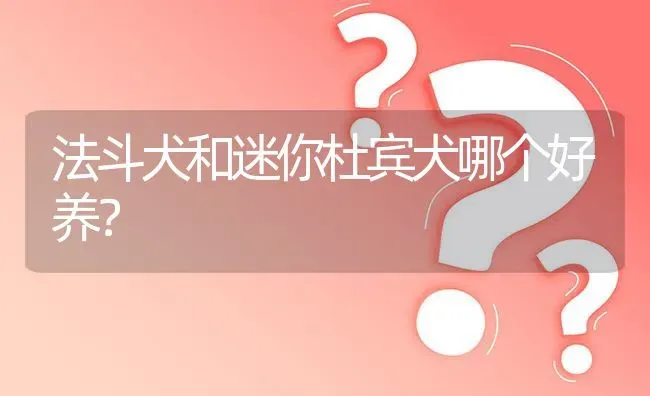 法斗犬和迷你杜宾犬哪个好养？ | 动物养殖问答