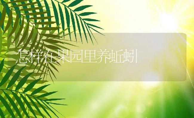 几种家兔胃肠病的防治办法 | 动物养殖学堂