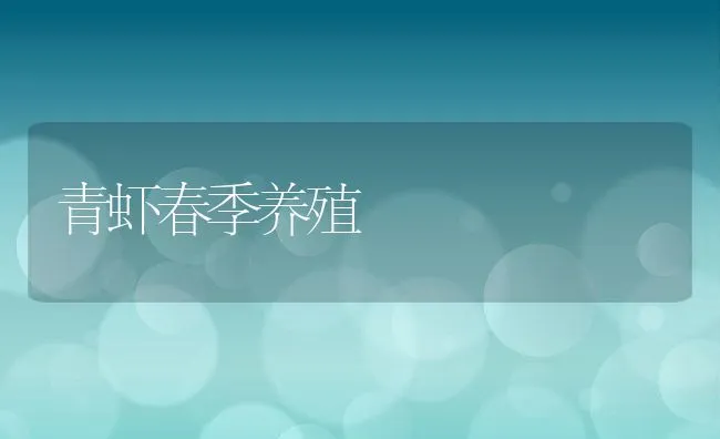 青虾春季养殖 | 动物养殖饲料