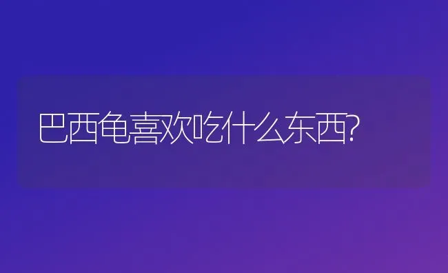 巴西龟喜欢吃什么东西? | 动物养殖问答