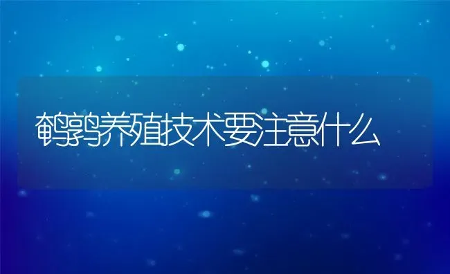 鹌鹑养殖技术要注意什么 | 动物养殖教程