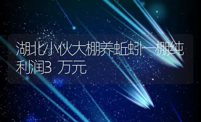 湖北小伙大棚养蚯蚓一棚纯利润3万元 | 动物养殖百科