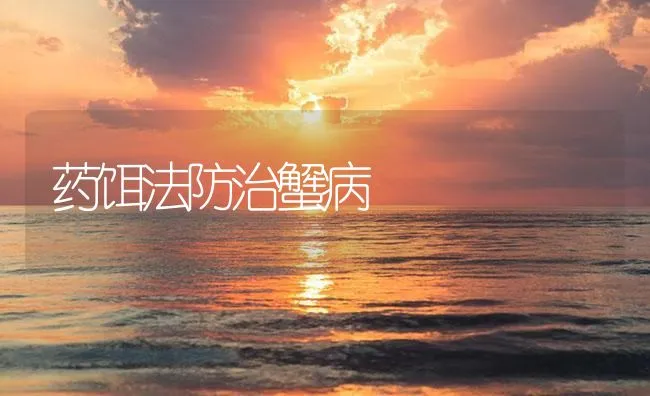 药饵法防治蟹病 | 海水养殖技术