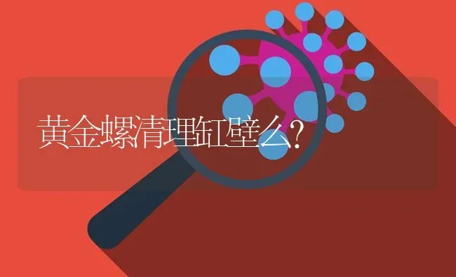 黄金螺清理缸壁么？ | 鱼类宠物饲养