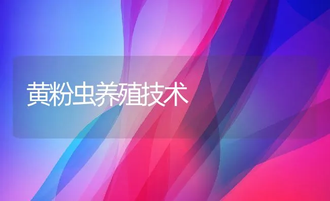 黄粉虫养殖技术 | 动物养殖学堂