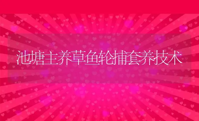 池塘主养草鱼轮捕套养技术 | 动物养殖饲料