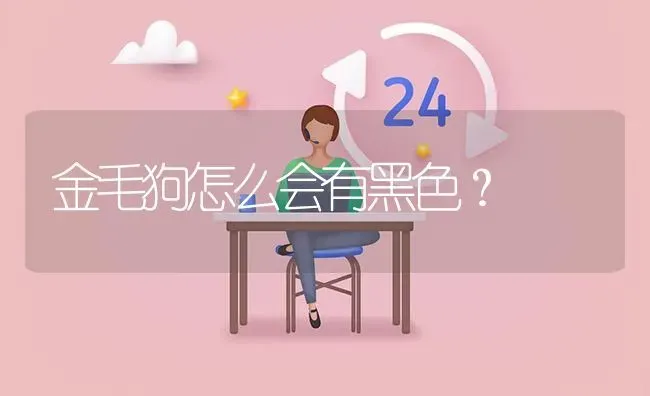 金毛狗怎么会有黑色？ | 动物养殖问答