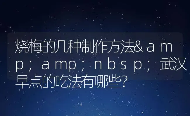 烧梅的几种制作方法 武汉早点的吃法有哪些？ | 动物养殖百科