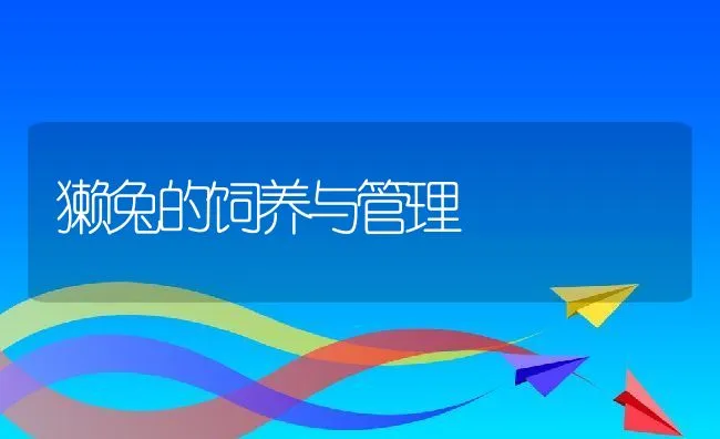 獭兔的饲养与管理 | 动物养殖学堂