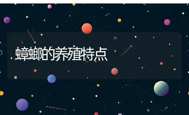 蟑螂的养殖特点 | 动物养殖教程