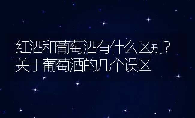 红酒和葡萄酒有什么区别?关于葡萄酒的几个误区 | 动物养殖百科