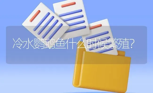 冷水鹦鹉鱼什么时候繁殖？ | 鱼类宠物饲养