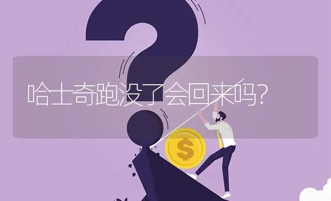 哈士奇跑没了会回来吗？ | 动物养殖问答