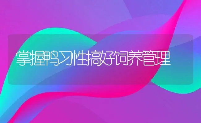 掌握鸭习性搞好饲养管理 | 动物养殖饲料