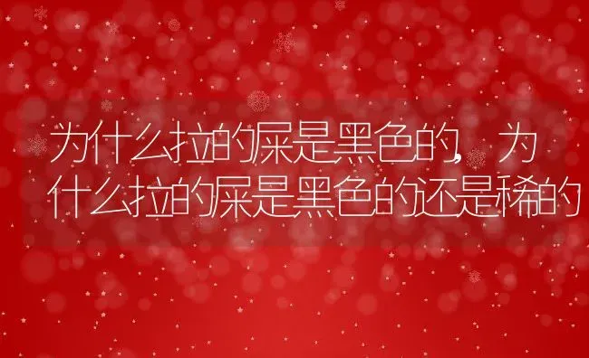 为什么拉的屎是黑色的,为什么拉的屎是黑色的还是稀的 | 宠物百科知识