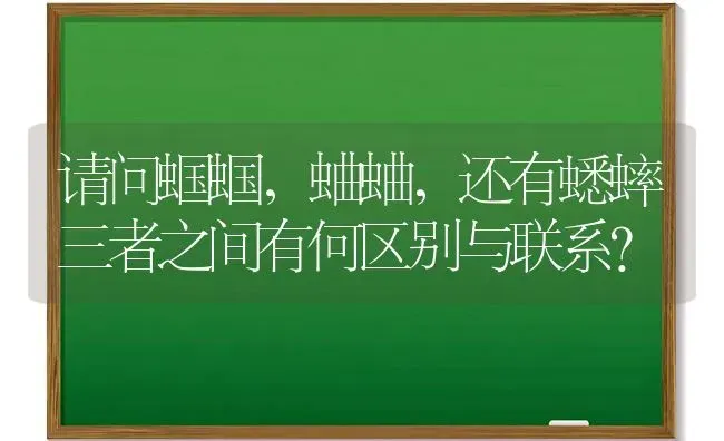 请问蝈蝈，蛐蛐，还有蟋蟀三者之间有何区别与联系？ | 动物养殖问答