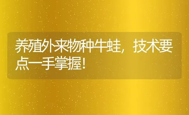 养殖外来物种牛蛙，技术要点一手掌握！ | 动物养殖百科