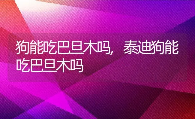 狗能吃巴旦木吗,泰迪狗能吃巴旦木吗 | 宠物百科知识