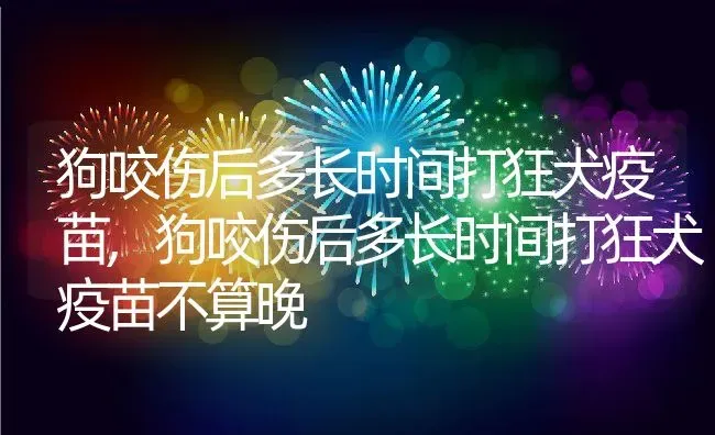 狗咬伤后多长时间打狂犬疫苗,狗咬伤后多长时间打狂犬疫苗不算晚 | 宠物百科知识