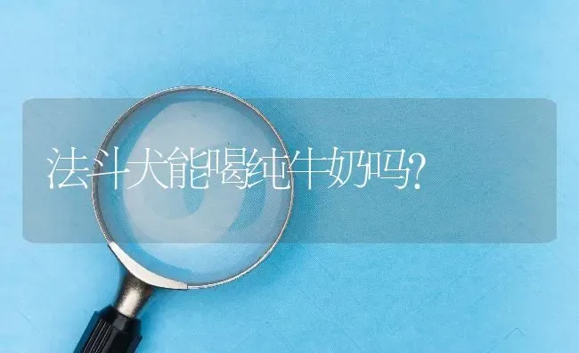 法斗犬能喝纯牛奶吗？ | 动物养殖问答