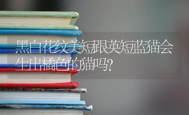 哪种狗狗不掉毛又好养又聪明又漂亮？ | 动物养殖问答