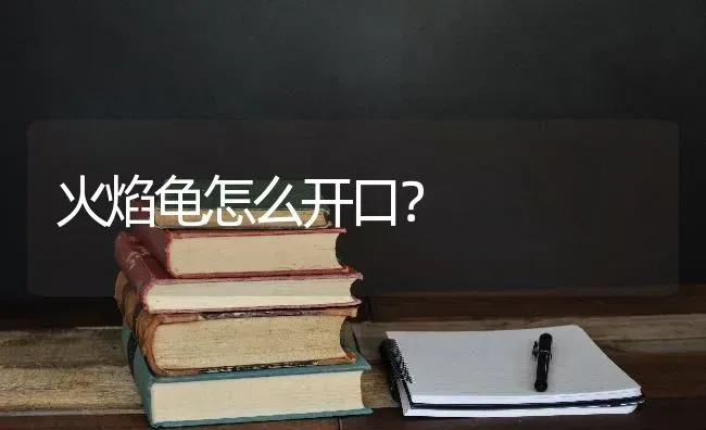 火焰龟怎么开口？ | 动物养殖问答