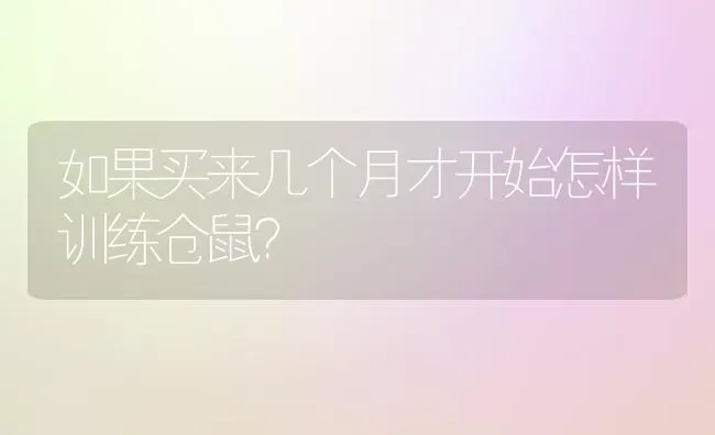 如果买来几个月才开始怎样训练仓鼠？ | 动物养殖问答