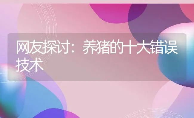 网友探讨：养猪的十大错误技术 | 动物养殖学堂