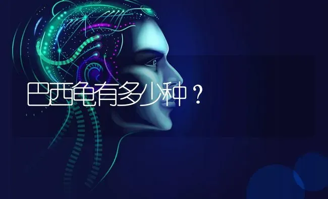 巴西龟有多少种？ | 动物养殖问答