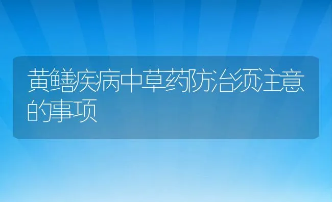 鳗鱼养殖之红点病防治技术 | 海水养殖技术