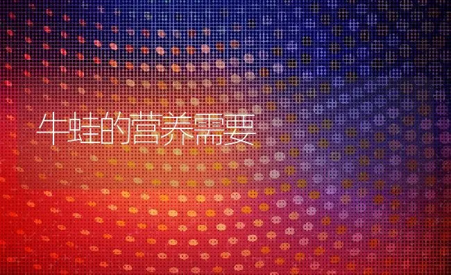 牛蛙的营养需要 | 动物养殖饲料