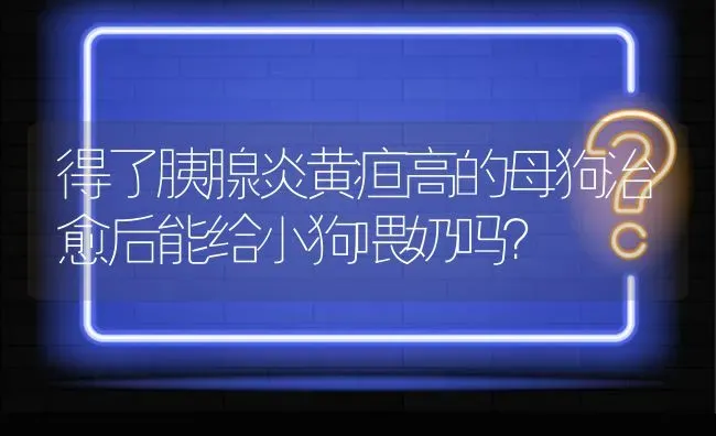 得了胰腺炎黄疸高的母狗治愈后能给小狗喂奶吗？ | 动物养殖问答