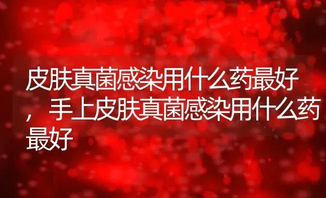 皮肤真菌感染用什么药最好,手上皮肤真菌感染用什么药最好 | 宠物百科知识