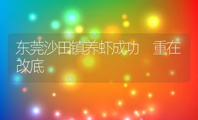 东莞沙田镇养虾成功 重在改底 | 动物养殖饲料