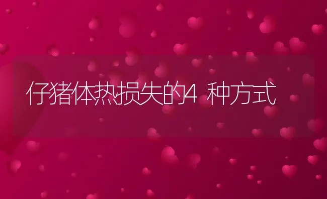 仔猪体热损失的4种方式 | 动物养殖饲料