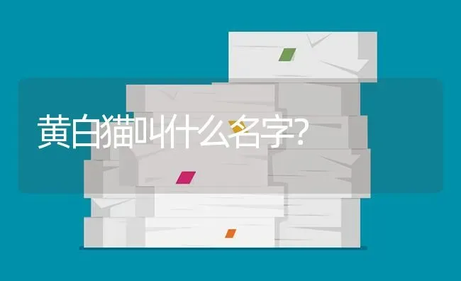 黄白猫叫什么名字？ | 鱼类宠物饲养