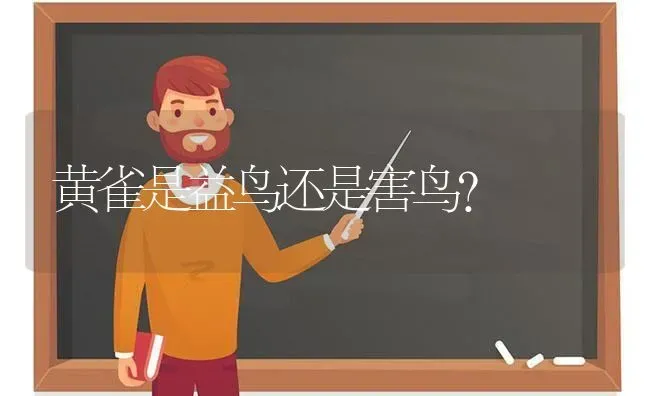 七彩鸟的养殖方法和注意事项？ | 动物养殖问答